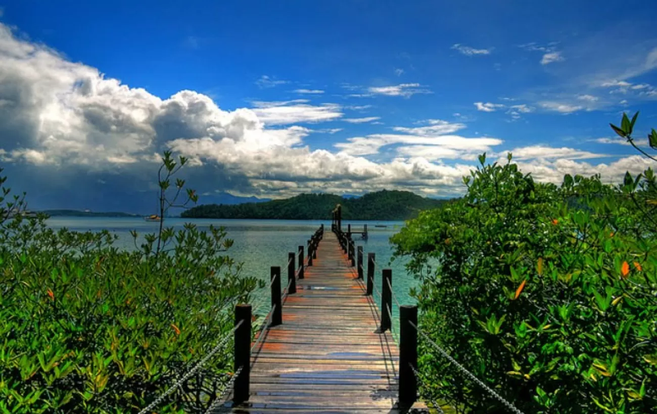 Numerous national parks in Borneo await you