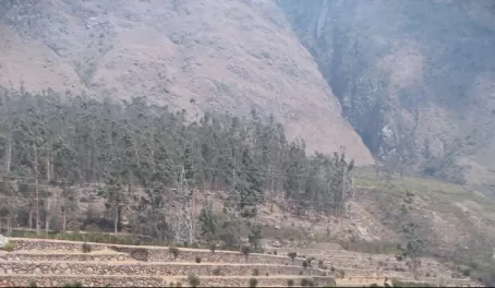 Train to Machu Picchu views