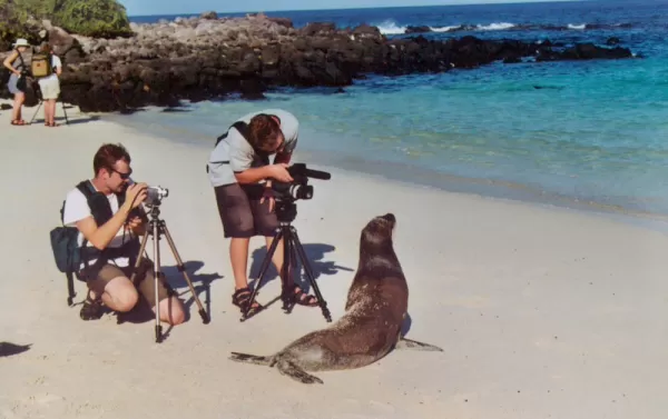 Photographing a sealion on a Galapagos cruise