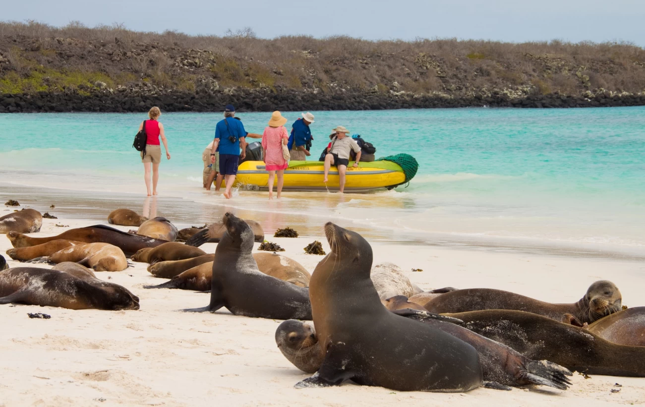 Explore secluded shores of the Galapagos on your small ship cruise