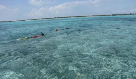 Snorkeling off Ambergris Caye