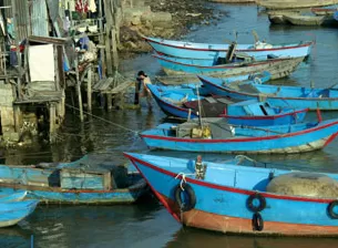 Fishing Boats at the Dock in Asia