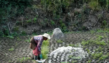 A local farmer in Guatemala
