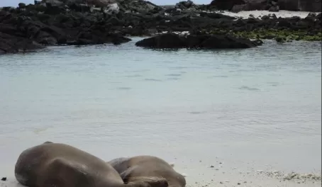 Enjoying our time in the Galapagos