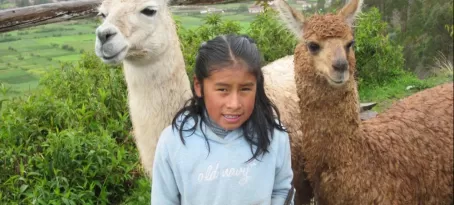 little girl with her llamas