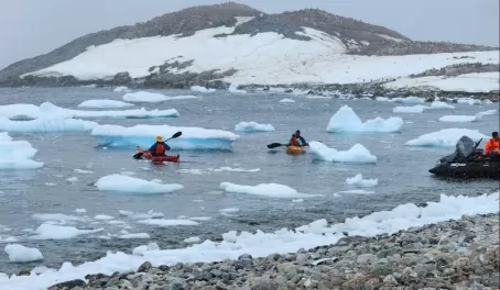 The kayakers in Antarctica paddle ashore to see the landing site as well.
