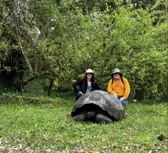 Giant tortoises in the highlands of Santa Cruz Island
