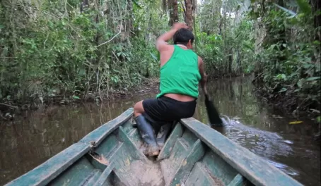 Exploring the Amazon