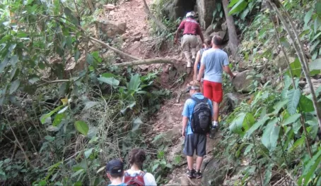 A group enjoys a guided hike through the rainforest near Hopkins