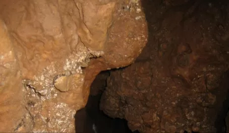 Day tour to the ATM cave near Pook's Hill