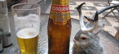 Peruvian beer time with Jackie Lope