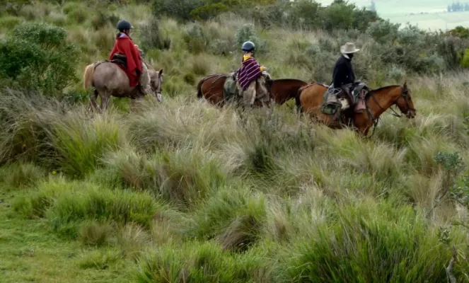 Family horseback riding in Ecuador