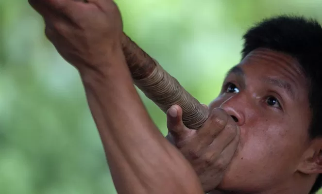 Blow darts are used for hunting in the Huaorani Community