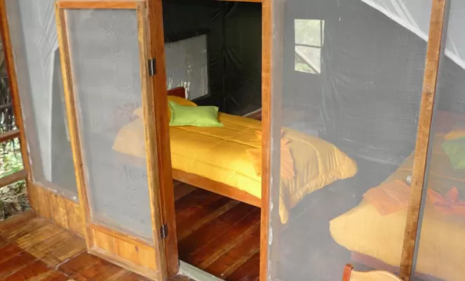 Room at Huaorani Lodge
