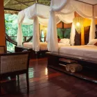 Suite - Refugio Amazonas