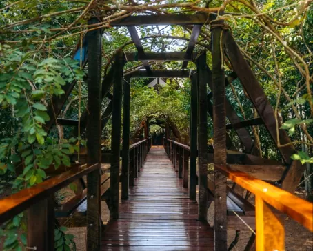 Refugio Amazonas bridge