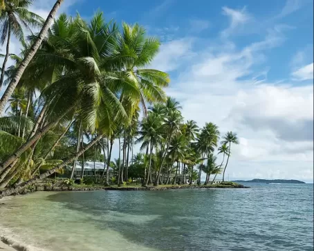 Palm tree lined resort on the Island of Chuuk, Micronesia