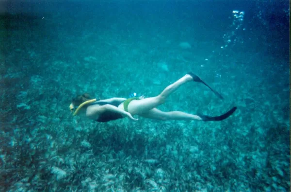 Snorkeling on a trip to Belize