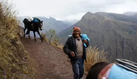 Don Francisco and horse assisted trek