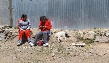 Locals and their lamb