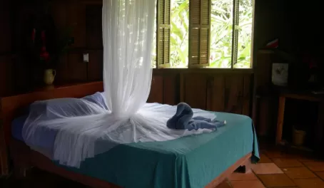 Room at Selva Bananito