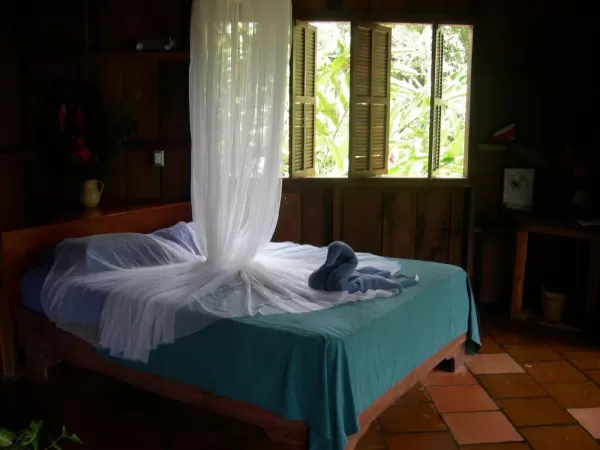 Room at Selva Bananito