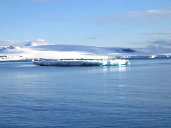 Icebergs during Antarctic cruise