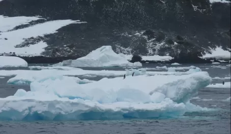 Ice floe in Weddell Sea
