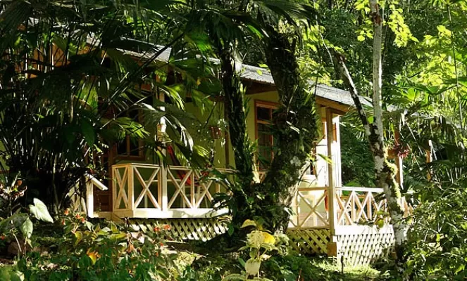 Comfortable accommodations in 14 cabins