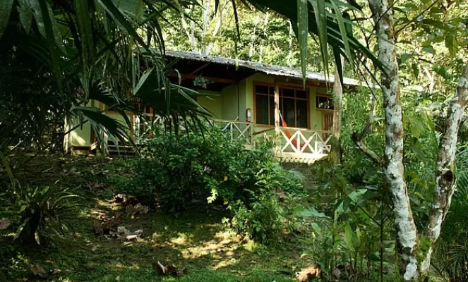 Set on the banks of the Napo River, listen to the sounds of the jungle from your cabin
