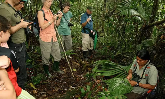Your guide will teach you the secrets of the Amazon rainforest