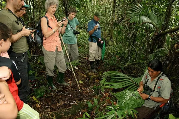 Your guide will teach you the secrets of the Amazon rainforest