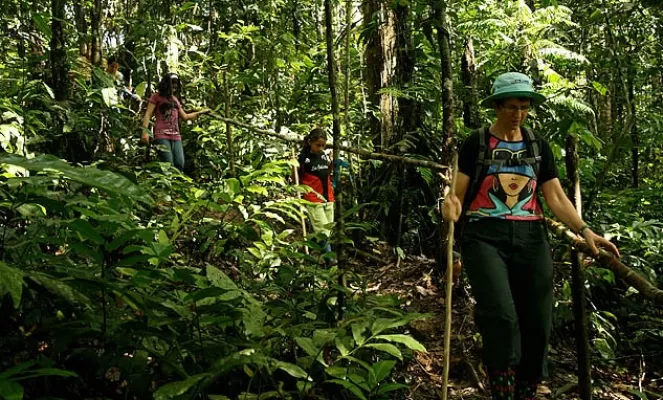 Hike nature trails, spot wildlife and more on your Amazon adventure