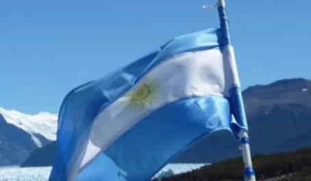 The Argentine Flag