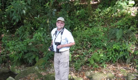 On a Quetzal Hunt