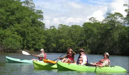 Kayaking at the Hatillo Mangroves