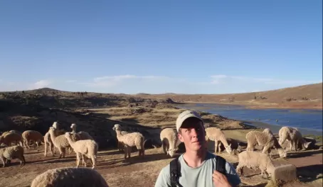 Tomas contemplating a new career in llama herding