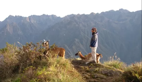Vidal and the llamas admire the view