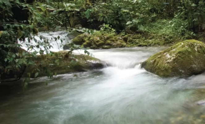 The sound of rushing water will fill your senses