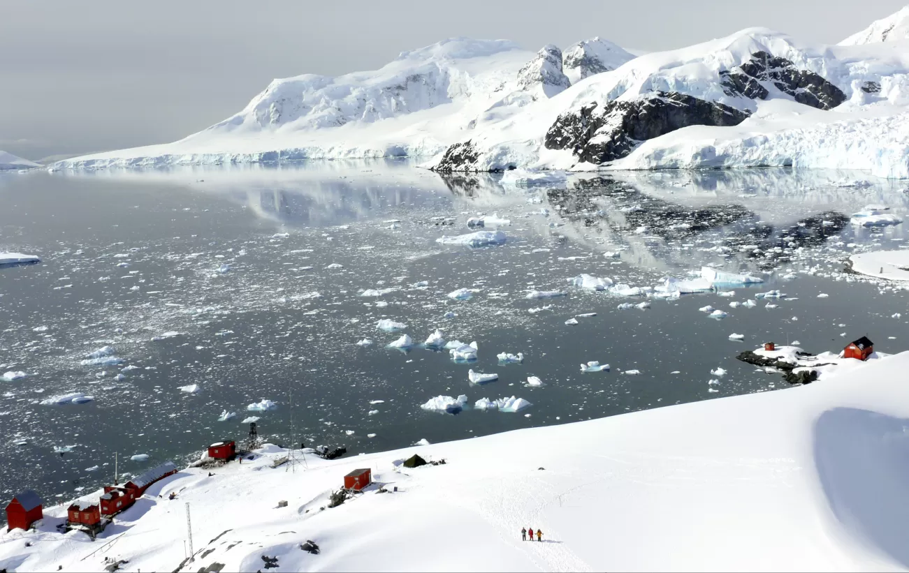 Explore the rugged shores and outposts of Antarctica