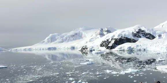 Explore the rugged shores and outposts of Antarctica