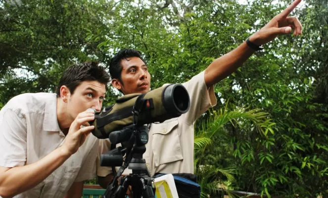 Scanning for tropical birds in the rainforest canopy 