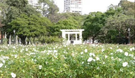 The Rose Garden at Palermo Park