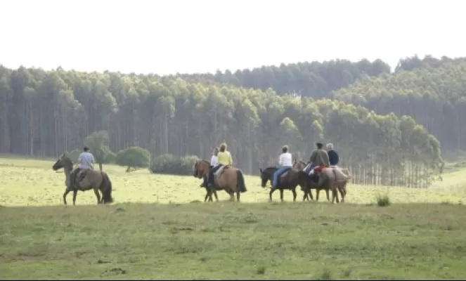Enjoy horseback excursions on the property