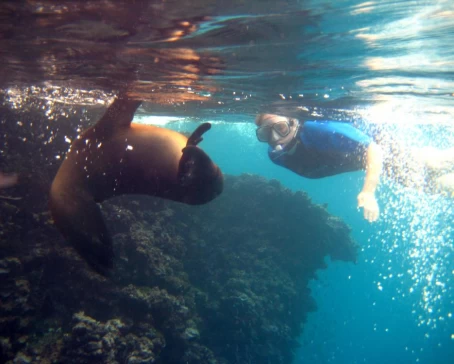 Snorkeling in the Galapagos.
