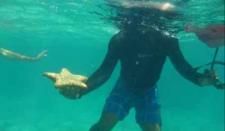 Snorkeling with star fish! 