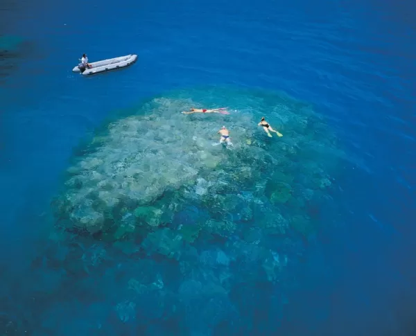 Snorkel at exclusive Great Barrier Reef sites