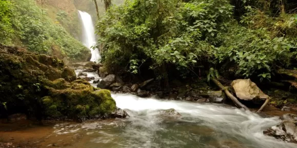 La Paz Waterfall Gardens in the most visited privately owned ecological attraction in Costa Rica
