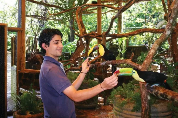 Enjoy guided aviary tours and feed the Tucans