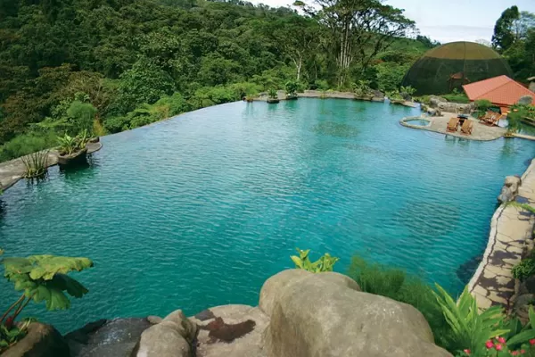 Infinity pool with views of the rainforest